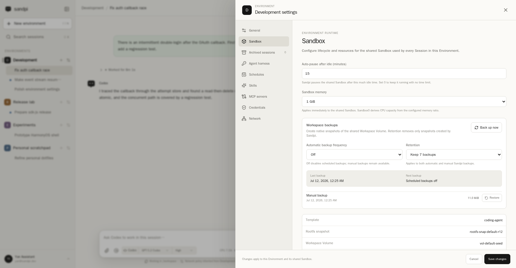 Sandbox runtime and Workspace backup settings in Sandpi
